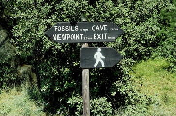 Wooden signpost in the forest in the Kamenjak Nature Park in Croatian Istria
