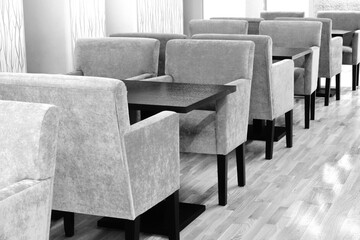 Modern Cafe Or Restaurant Interior With Comfortable Furniture. Empty Soft Armchairs And Wooden Tables In Row At The White Wall On The Laminated Floor. Monochrome Color