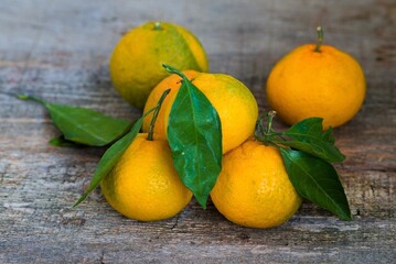oranges and lemons