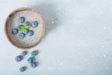 chia pudding with blueberries in a coconut bowl