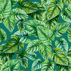 Fototapeta na wymiar Seamless pattern with variegated leaves of philodendron. Green leaves on a emerald green background. Endless tropical exotic illustrations