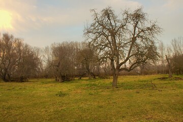 Camping Velky Lel /Veľký Lél/. This area is part of the Protected landscape area. 
