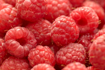 Closeup shot of sweet and ripe raspberries on a blurred background