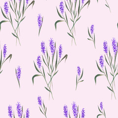 Watercolor hand drawn lavender flowers illustration.