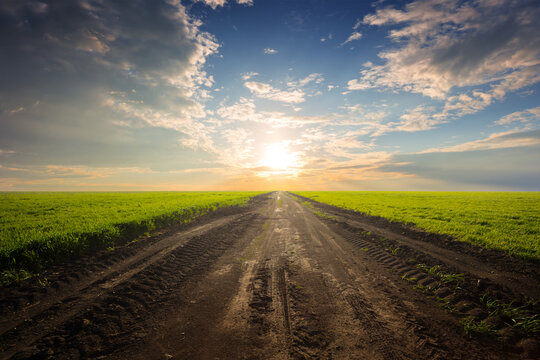 dirty ground road among a green rural fields at the sunset, natural countryside scene © Yuriy Kulik