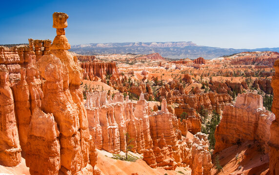Hoodoos in Bryce Canyon National Park, clear day during spring