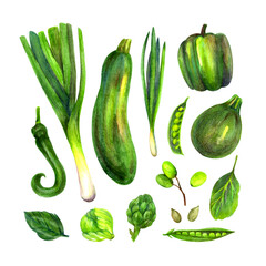 Set of watercolor hand-drawn vegetables (zucchini, leek, peppers, brussels sprouts, peas, artichoke, greens) isolated on white background.