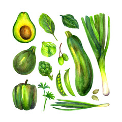 Set of watercolor hand-drawn vegetables (avocado, zucchini, leek, peppers, Brussels sprouts, peas, artichoke, herbs) isolated on white background.