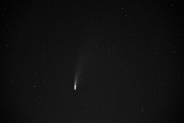 Komet Neowise