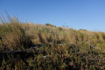 Beauduc - Plage