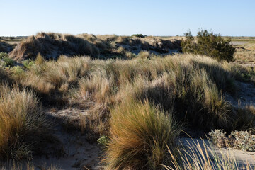 Beauduc - Plage