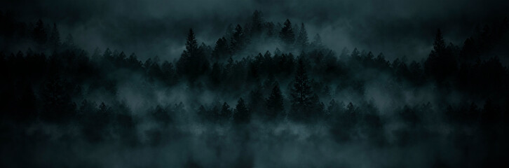 Foggy dark forest. Top view, fog, smog. Wild forest nature, forest landscape, landscape. Abstract fantasy forest.