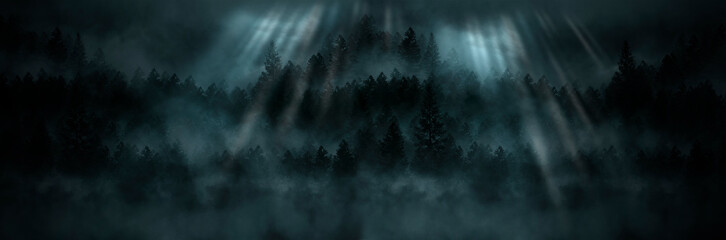 Foggy dark forest. Top view, fog, smog. Wild forest nature, forest landscape, landscape. Abstract fantasy forest.