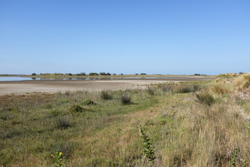 Beauduc - Plage