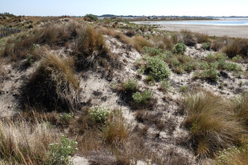 Beauduc - Plage