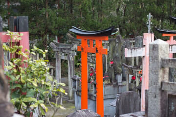 Red Japanese Torii Archway in a garden of stone Toriis.