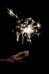 fireworks in the sky