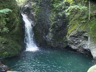 Fototapeta premium 光明の滝