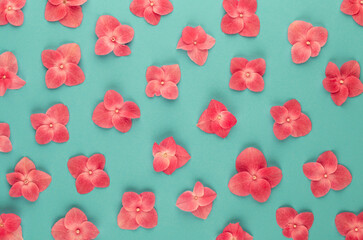Springtime floral greeting card template.