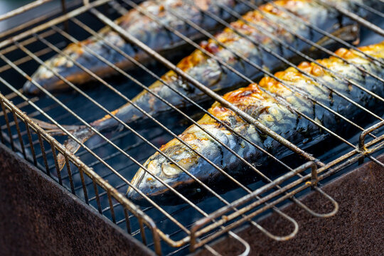 mackerel fish grilled barbeque on fire outdoors. roasted fish