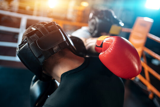 two muscle boxers sport man training and fighting on boxing ring at gym - Powered by Adobe