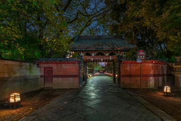 Illuminated stone path at night leading to the Mizuyamon gate decorated with a sacred shimenawa rope in the Ueno Toshogu shrine  classed Important cultural property.