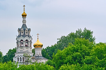 Fototapeta na wymiar russia 2020. Church domes behind a tree branch. general plan