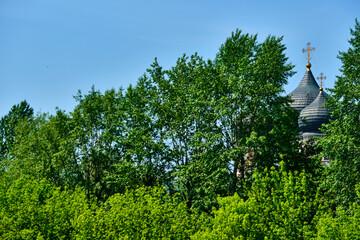 Fototapeta premium russia 2020. Church domes behind a tree branch. general plan