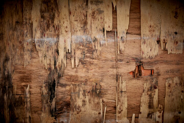 Wood old rustic background rough