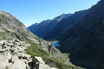 Naklejka premium Estom