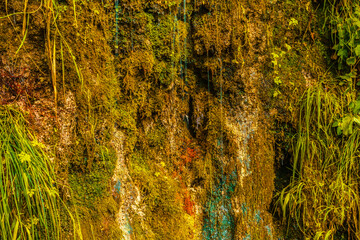 Waterfall on a rock wall surrounded by greenery