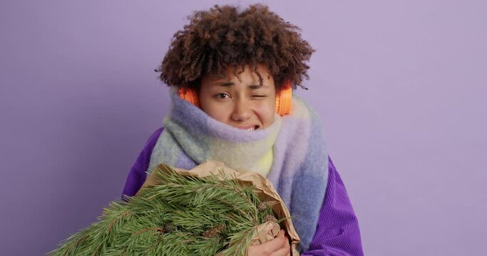 Young beautiful woman with curly hair trembles from cold during frosty winter day carries bouquet of fir tree branches cannot warm listens music in headphones isolated over purple background