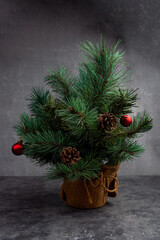 Creative layout with a Christmas tree on a grey background. Minimal winter nature holiday scene. Rustic stil.