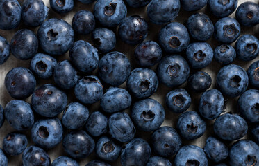 lot of blueberries background texture