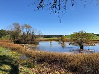 Pond, borrow pit Indian mounds