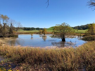 Pond, borrow pit Indian mounds
