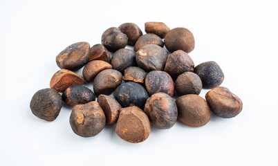 Camellia seeds on white background