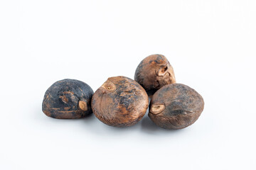 Camellia seeds on white background