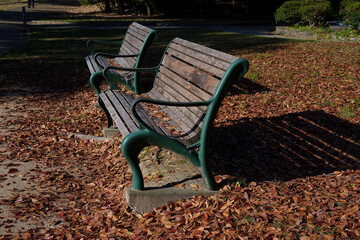 ベンチの上や周りに落葉が散っている風景