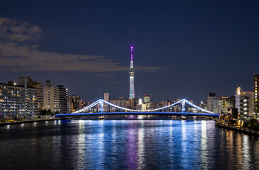 Naklejka premium 東京 スカイツリーと清洲橋