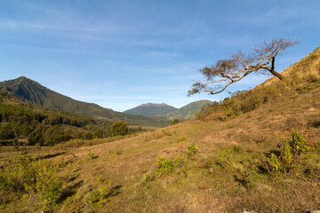 Savannah and mountain landscape with blue sky