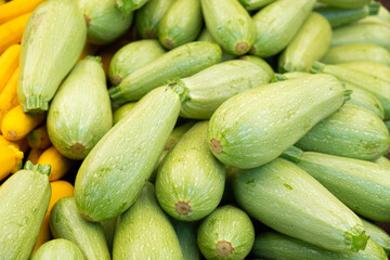 Green Zucchini in a Farmer Market
