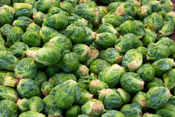 Fototapeta na wymiar Fresh Brussel Sprouts 