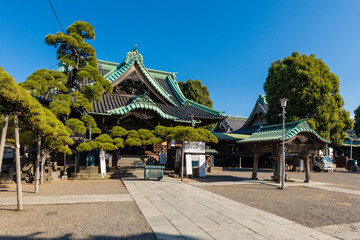 Fototapeta premium 柴又帝釈天