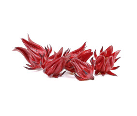 Roselle isolated on a white background.