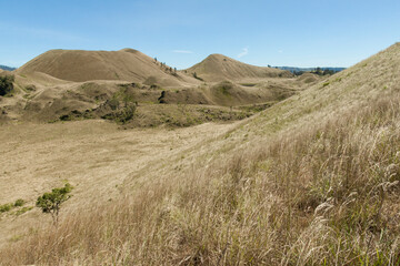 Savannah of Kawah Wurung