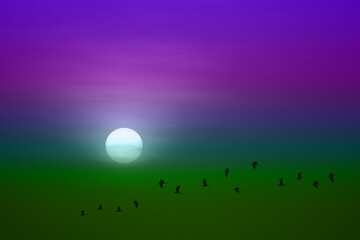 beautiful purple green sunset and silhouette of birds fly passing sun and blur sky