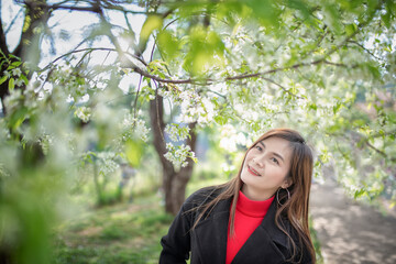The Portrait of asian woman in a flowered park. Sakura. Blooming trees. Spring.