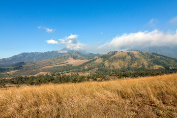 Fototapeta premium Landscape of the mountains