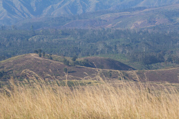 Landscape of the mountains